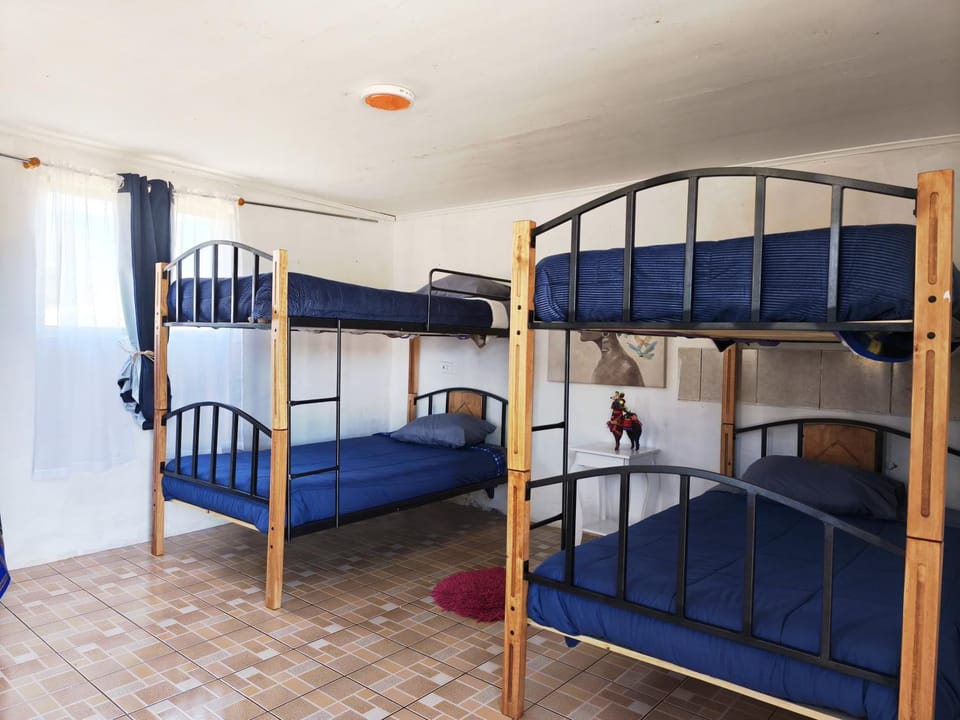 Photo of the whole room, Bedroom, bunk bed