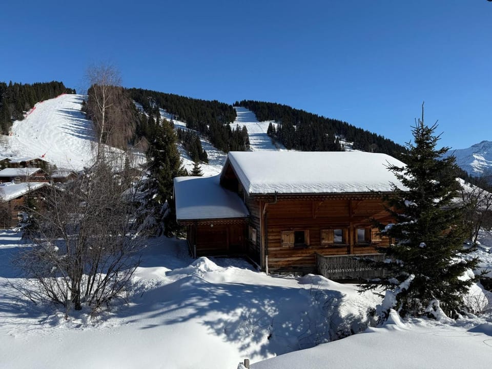 Property building, Natural landscape, Winter, Balcony/Terrace, Mountain view