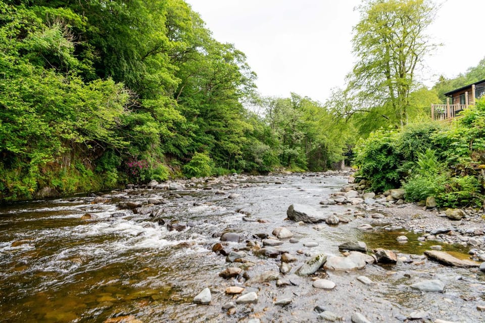Natural landscape, River view