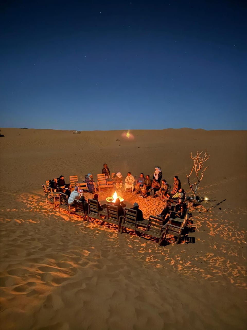 Night, People, group of guests