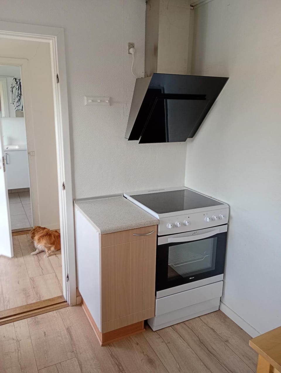 stove