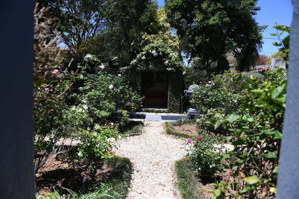 Garden view