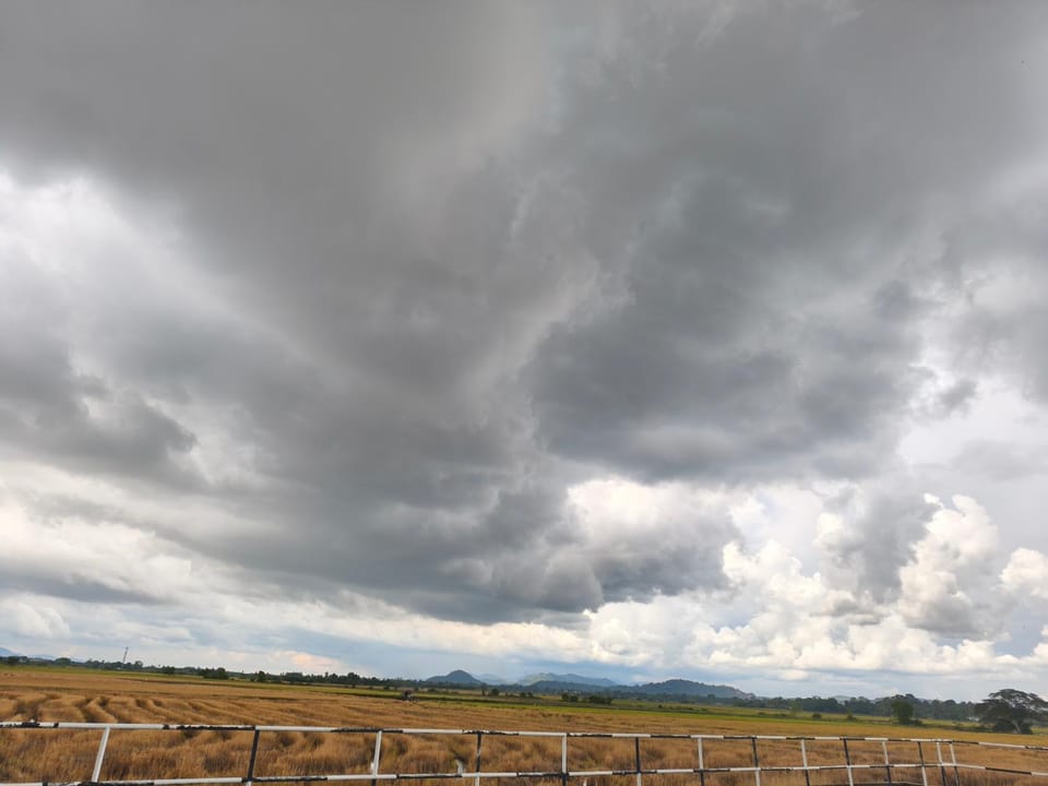 Natural landscape