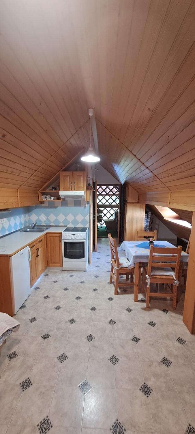 Kitchen or kitchenette, Dining area