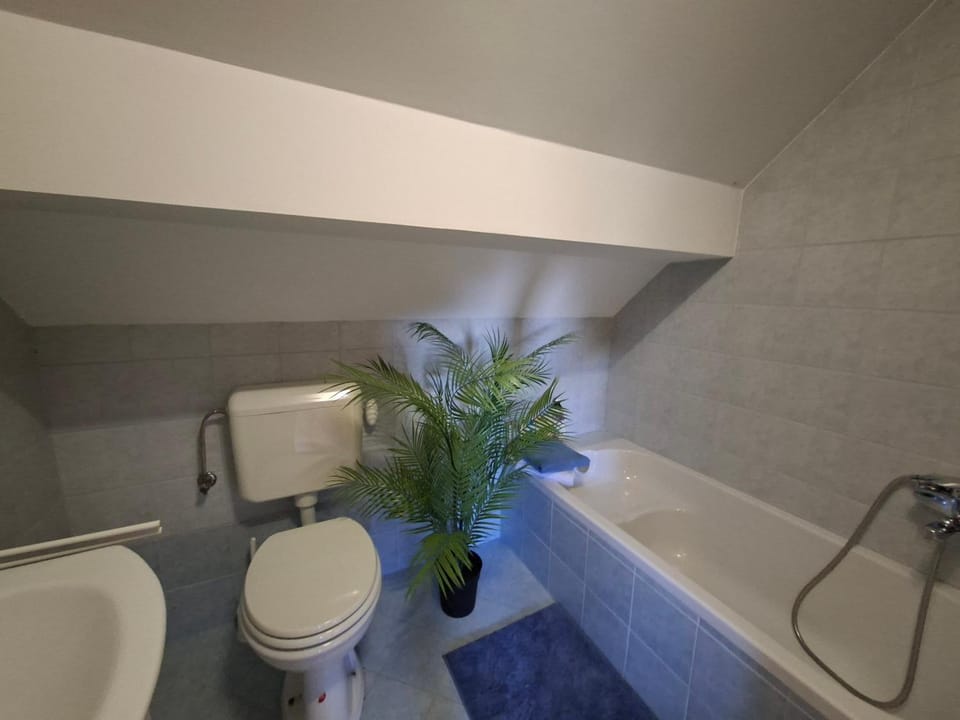 Toilet, Bathroom, Bath