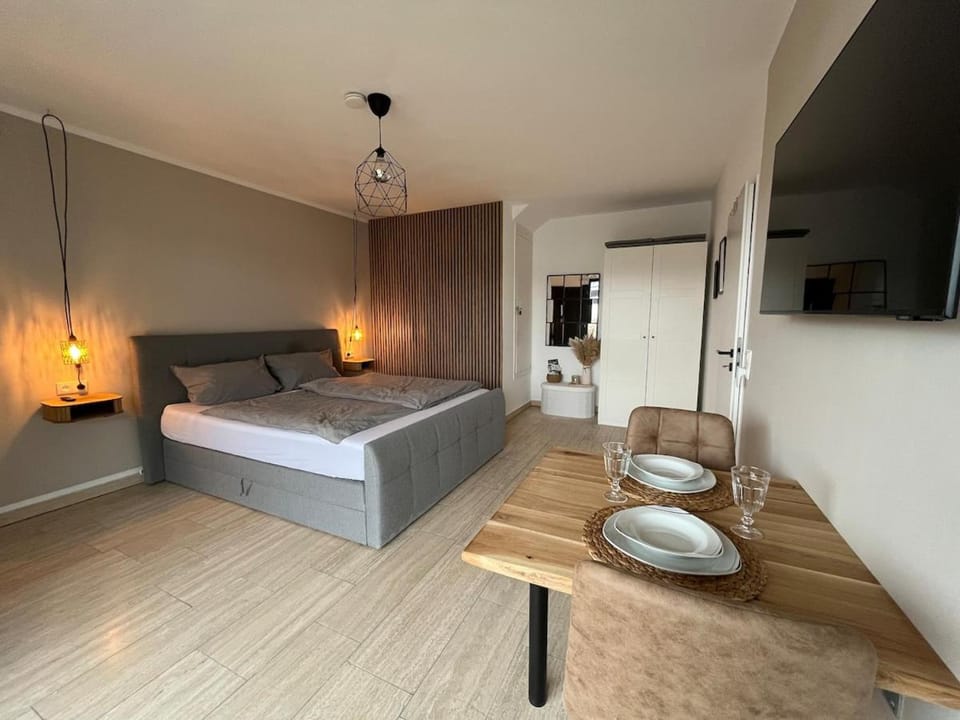 Bed, TV and multimedia, Living room, Photo of the whole room, Bedroom