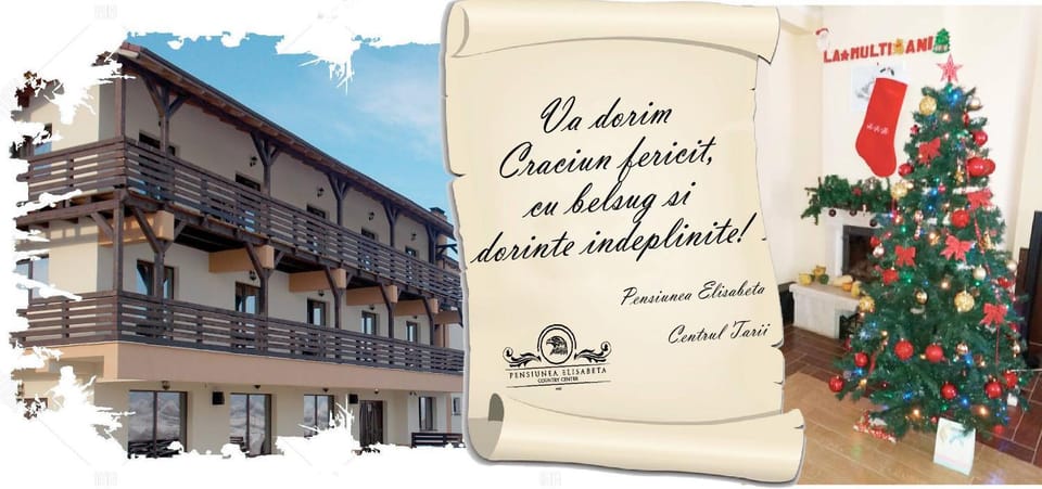 Pensiunea Elisabeta Bed and Breakfast in Brașov County