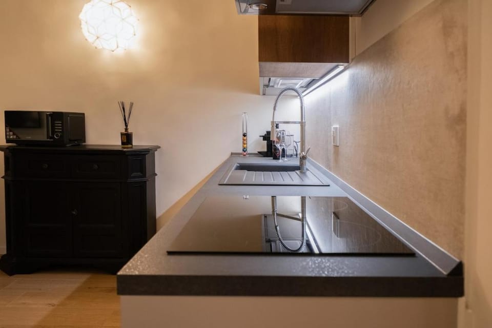 Residenza Villani in Oltrarno, Florence Apartment in Florence