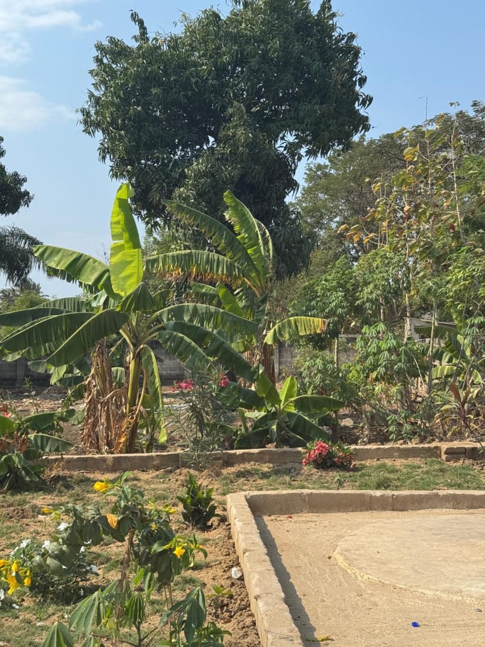 Garden, Other, Garden view