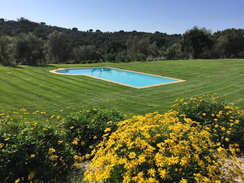 View (from property/room), Garden view, Pool view