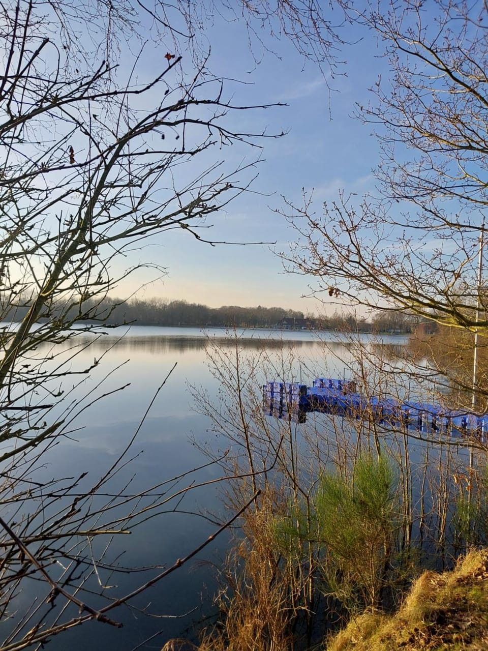 Lake view