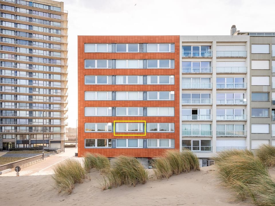 Property building, Summer