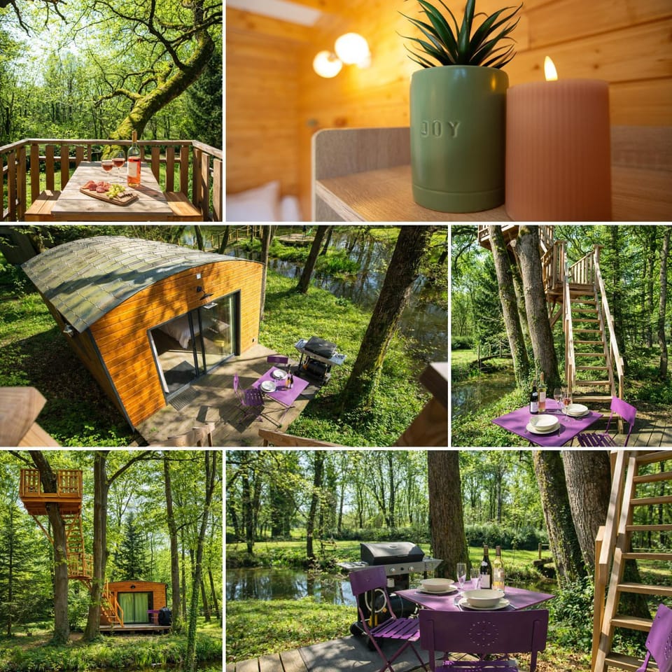 Spring, Day, Natural landscape, Garden, Dining area, Garden view
