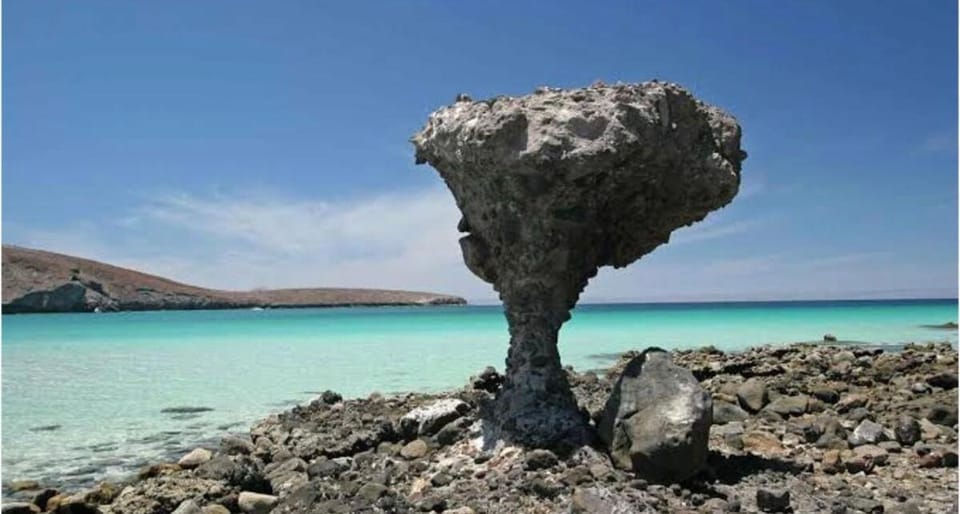 Natural landscape