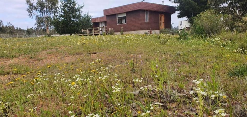 Casa Algarrobo Parcela House in Santiago Metropolitan Region