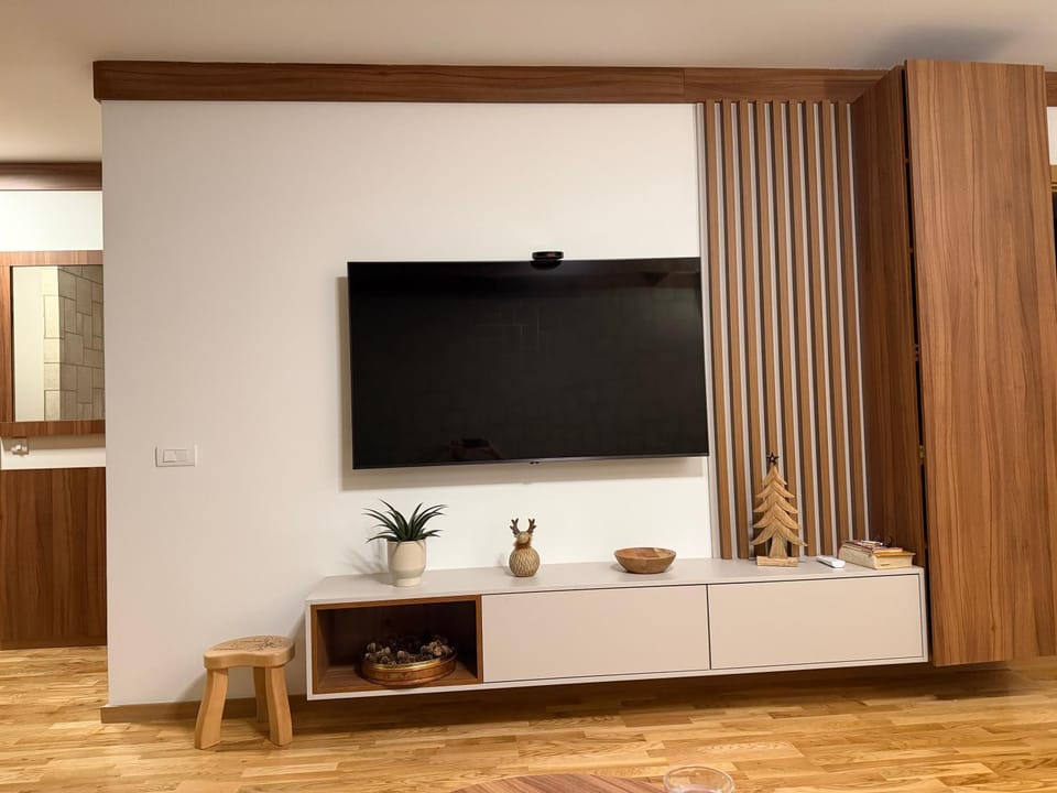 TV and multimedia