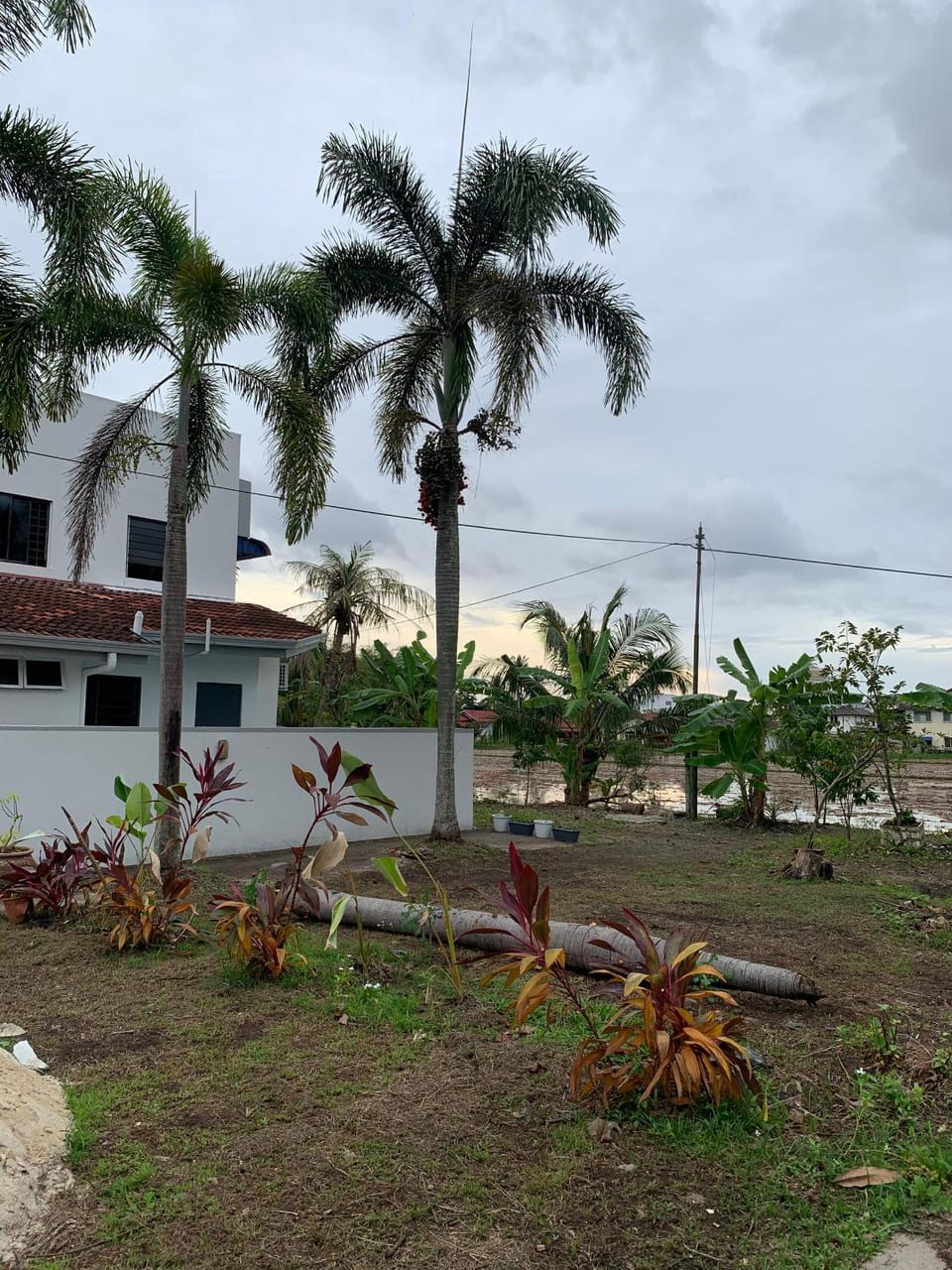 The BENDANG RESIDENCE - ALORSETAR -Private PooL - Panoramic view of rice fields and Alor Setar Tower House in Kedah