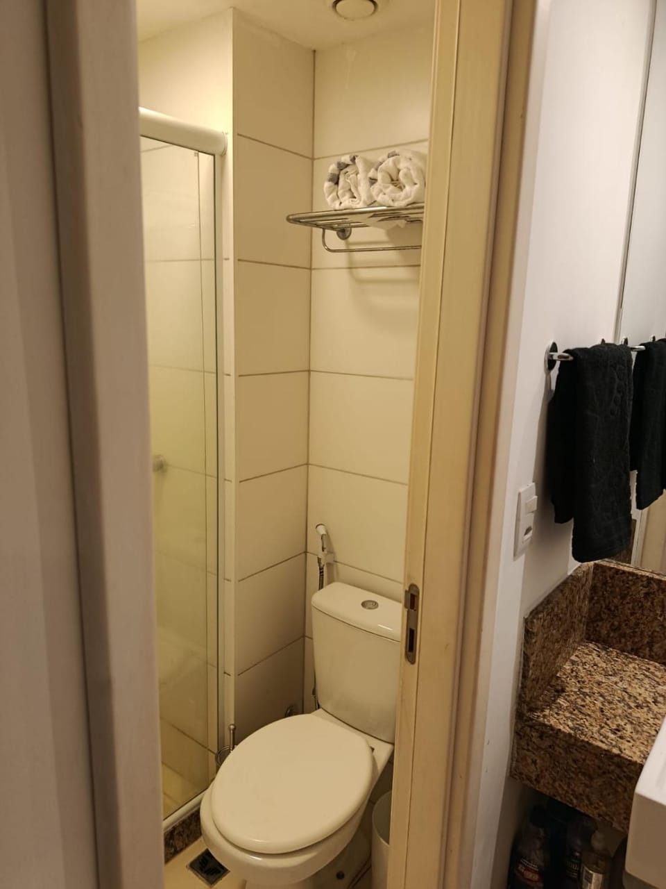 Shower, Toilet, Bathroom, towels