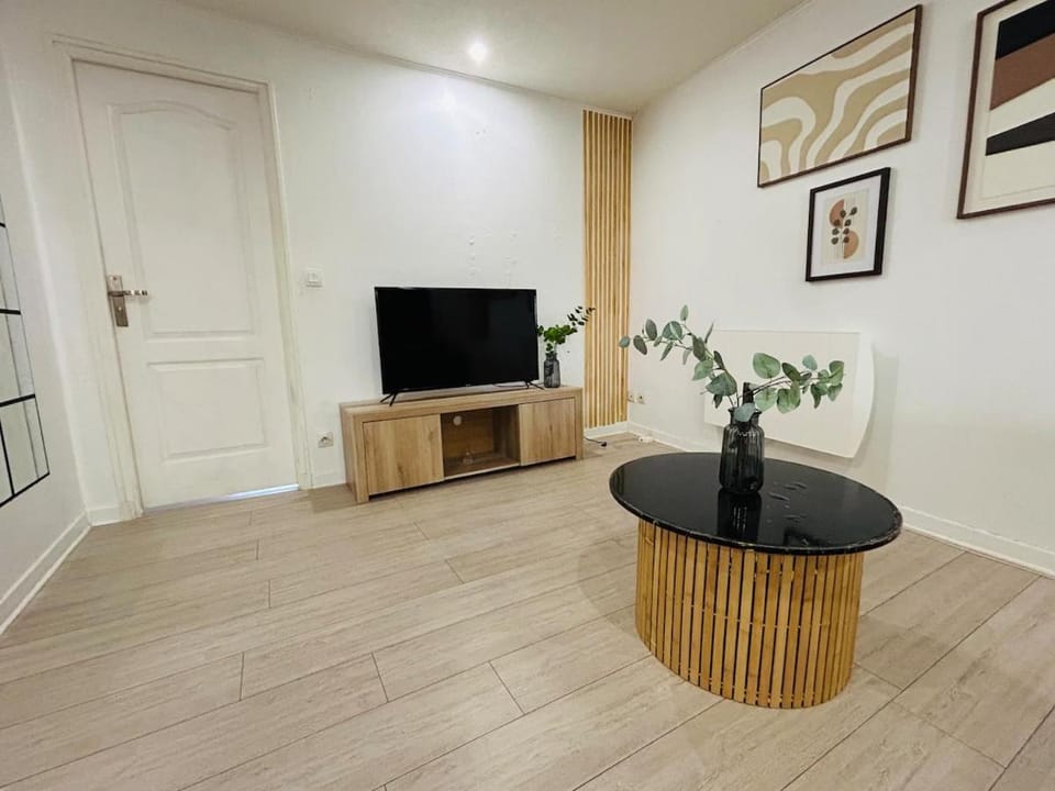 Le Petit Bourcain Apartment in Valence