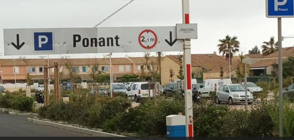 Les Palmiers Apartment in Occitanie