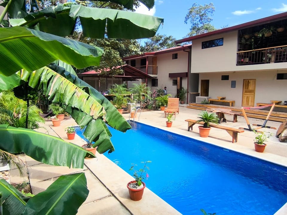 Patio, Pool view, Swimming pool, sunbed
