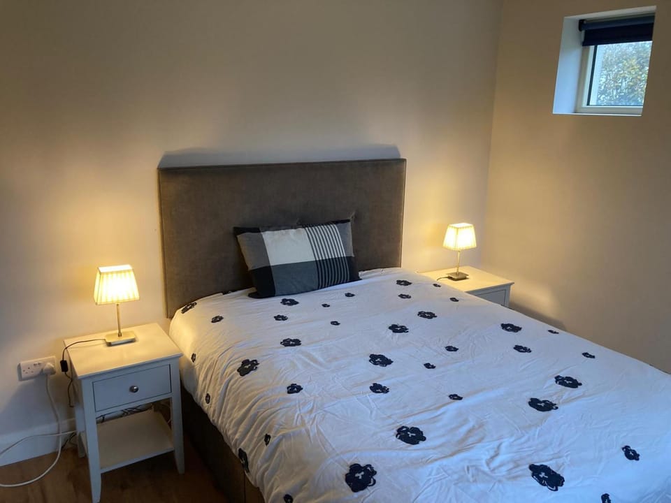 Circular Road Comfort - UHG & University Access Vacation rental in Galway