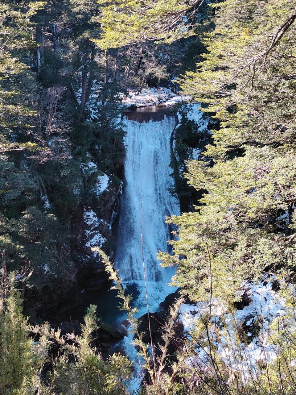 Cabañas Del Monte 3 Campground/ 
RV Resort in Araucania, Chile