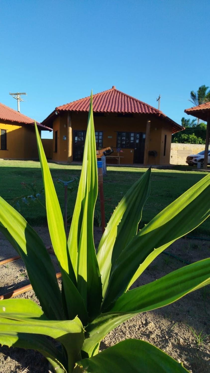 Bangalô 4 House in State of Bahia