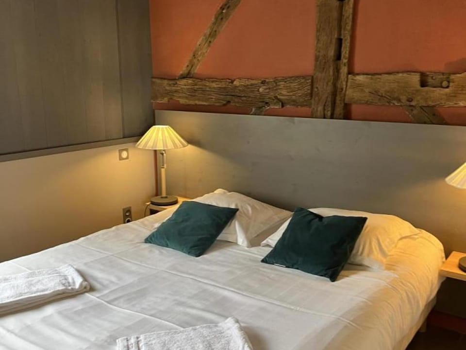 Gîte rustique au calme avec cheminée et jardin, 4 pers. - FR-1-489-600 House in Auvergne-Rhône-Alpes