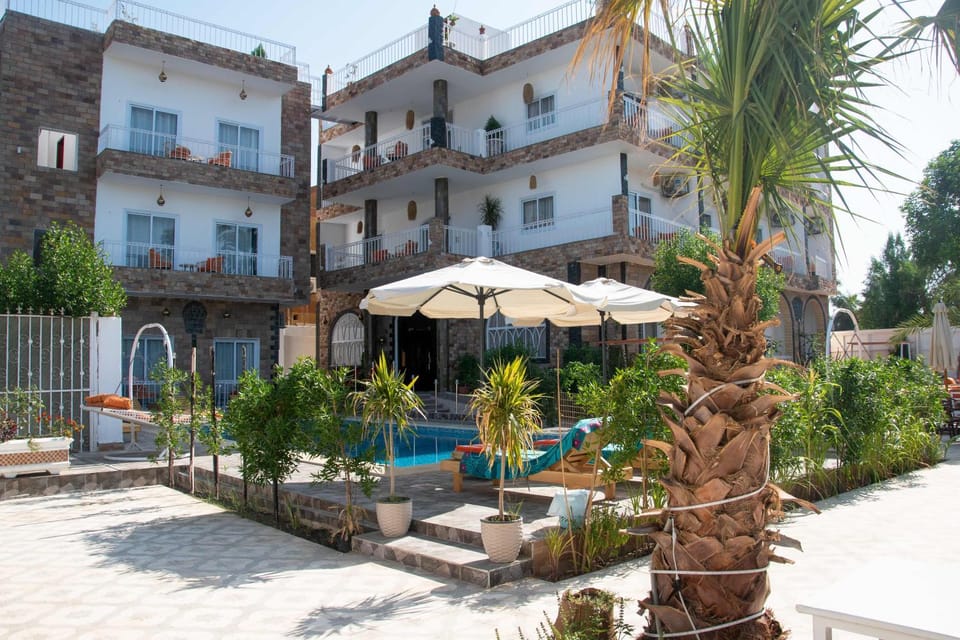 Property building, Patio, Spring, Day, Garden, Garden view, Pool view, Swimming pool, sunbed