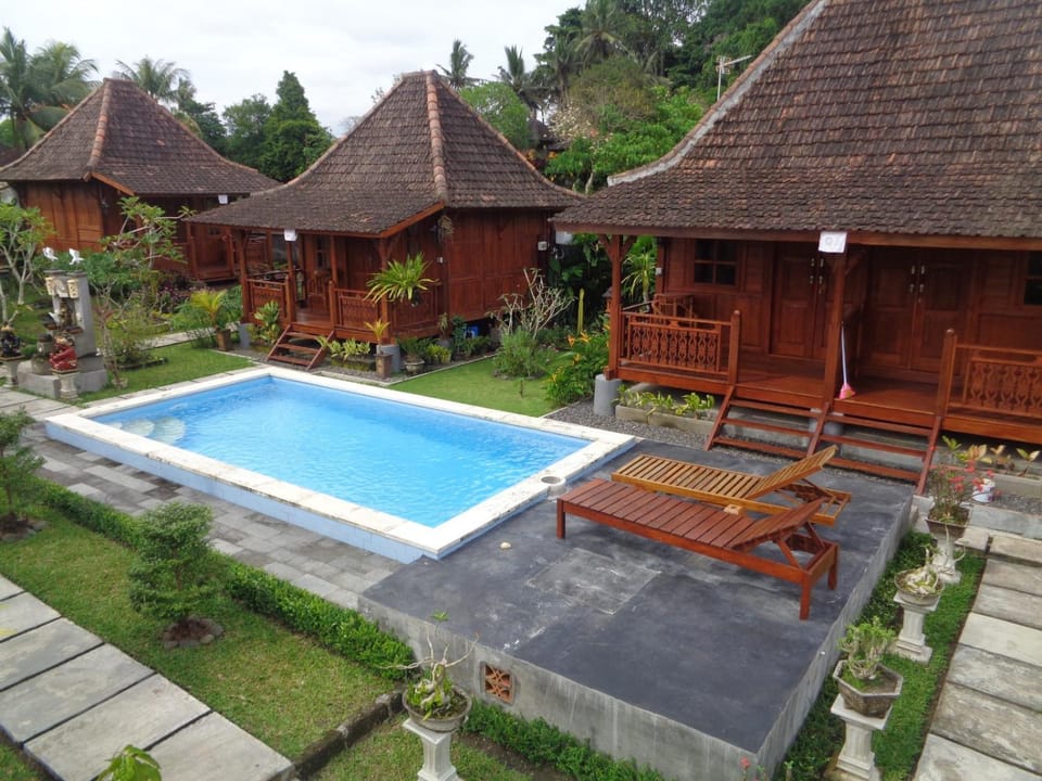 Property building, Spring, Day, Garden, Garden view, Pool view, Swimming pool, sunbed