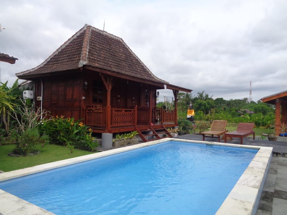 Property building, Day, Garden, Garden view, Pool view, Swimming pool, sunbed