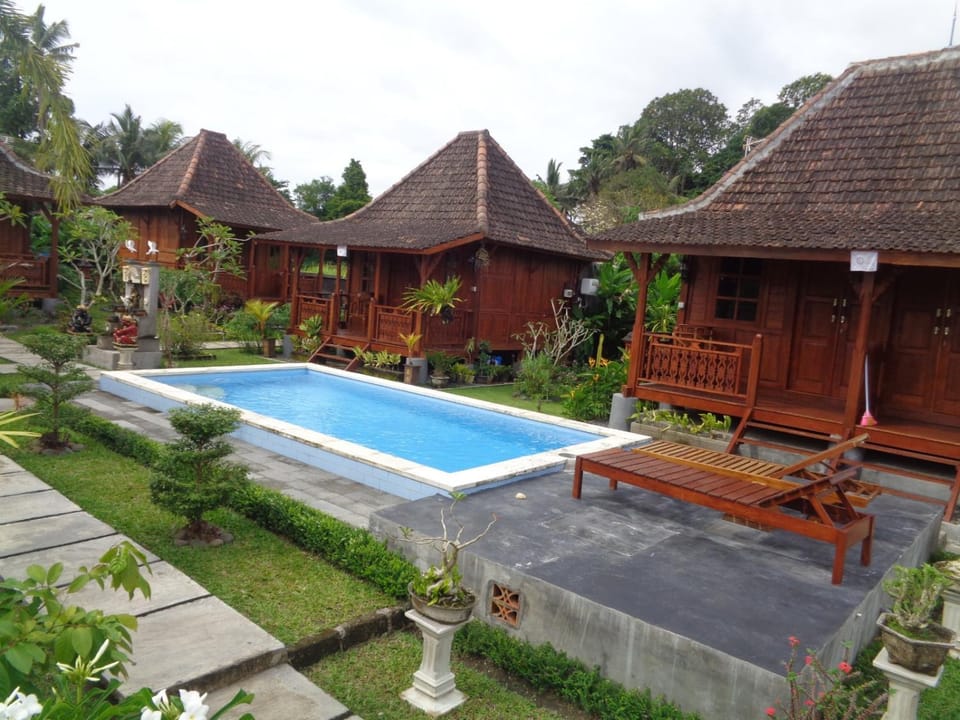 Property building, Day, Garden, Garden view, Pool view, Swimming pool, sunbed