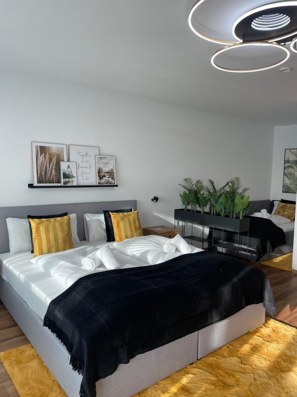 Bed, Living room, Photo of the whole room, Bedroom, towels