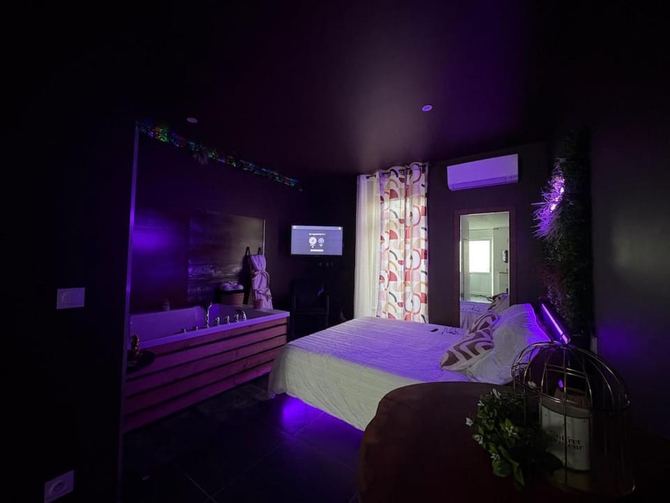 Appartement Romantique Exceptionnel Apartment in Auvergne-Rhône-Alpes