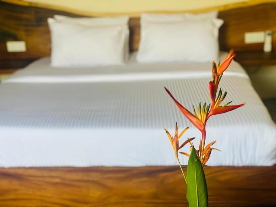 vrihee resort Hotel in Mirissa