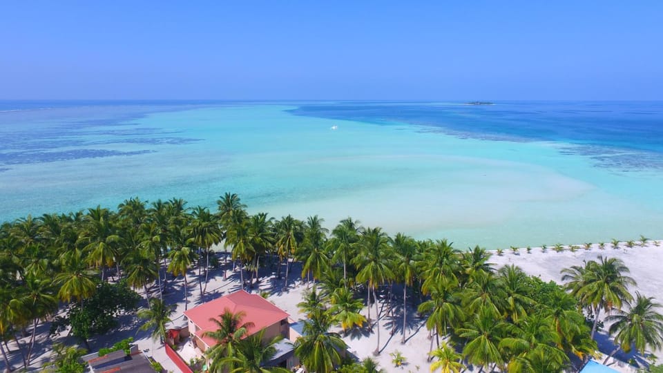 Day, Bird's eye view