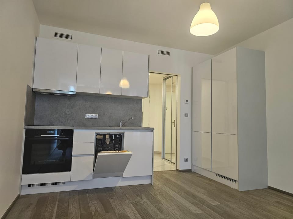 Kitchen or kitchenette, oven, stove