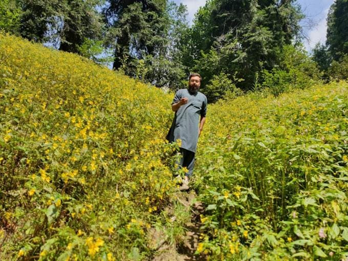 Lalazar Guest House Bed and Breakfast in Pakistan