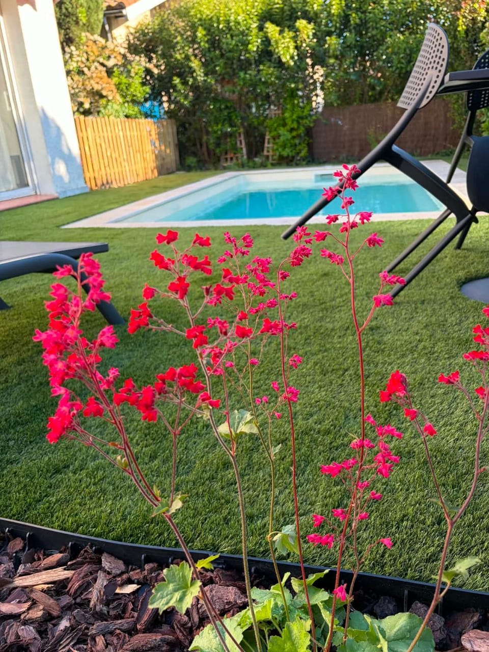Garden, Pool view, Swimming pool