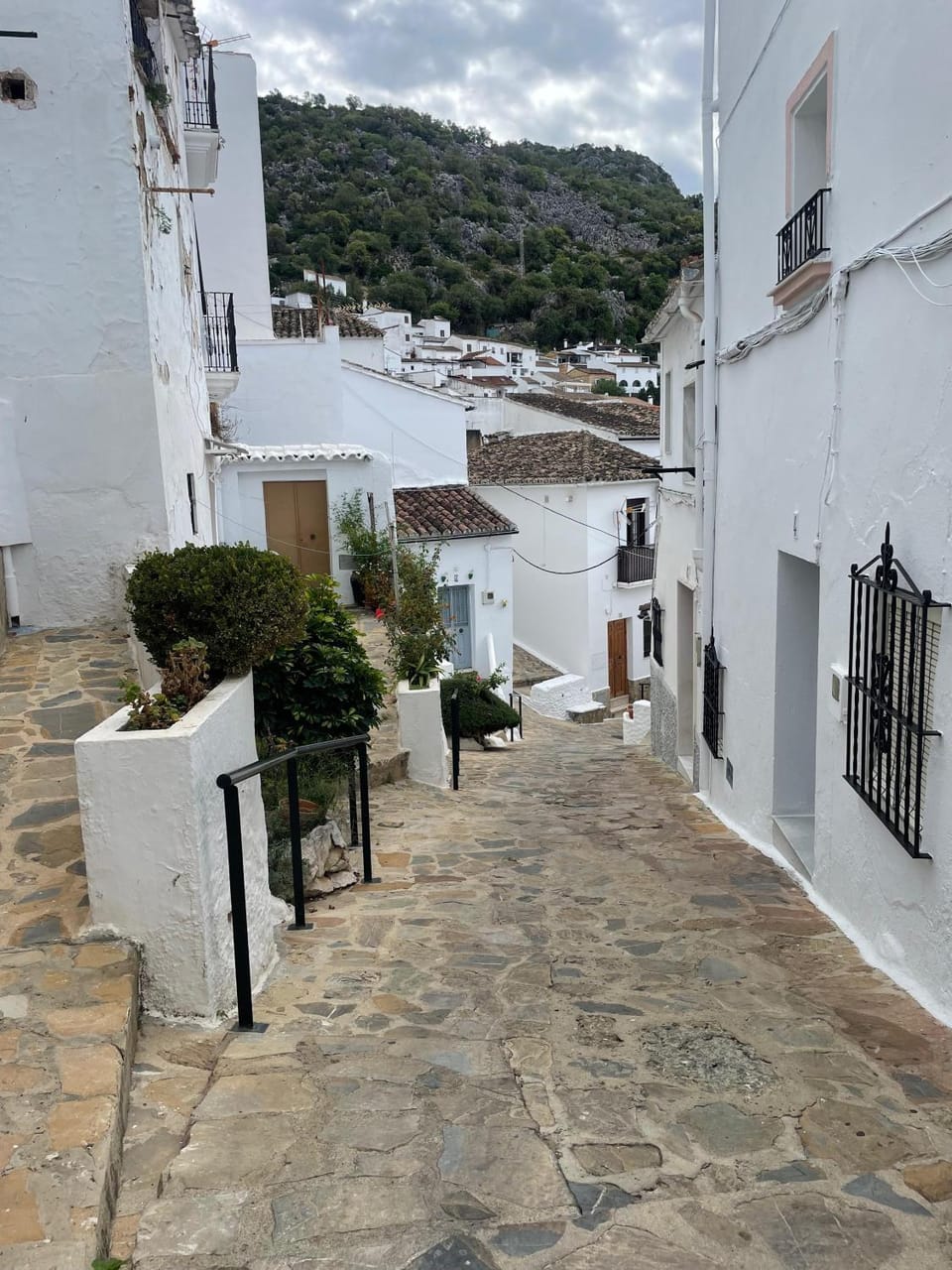 Neighbourhood, Street view