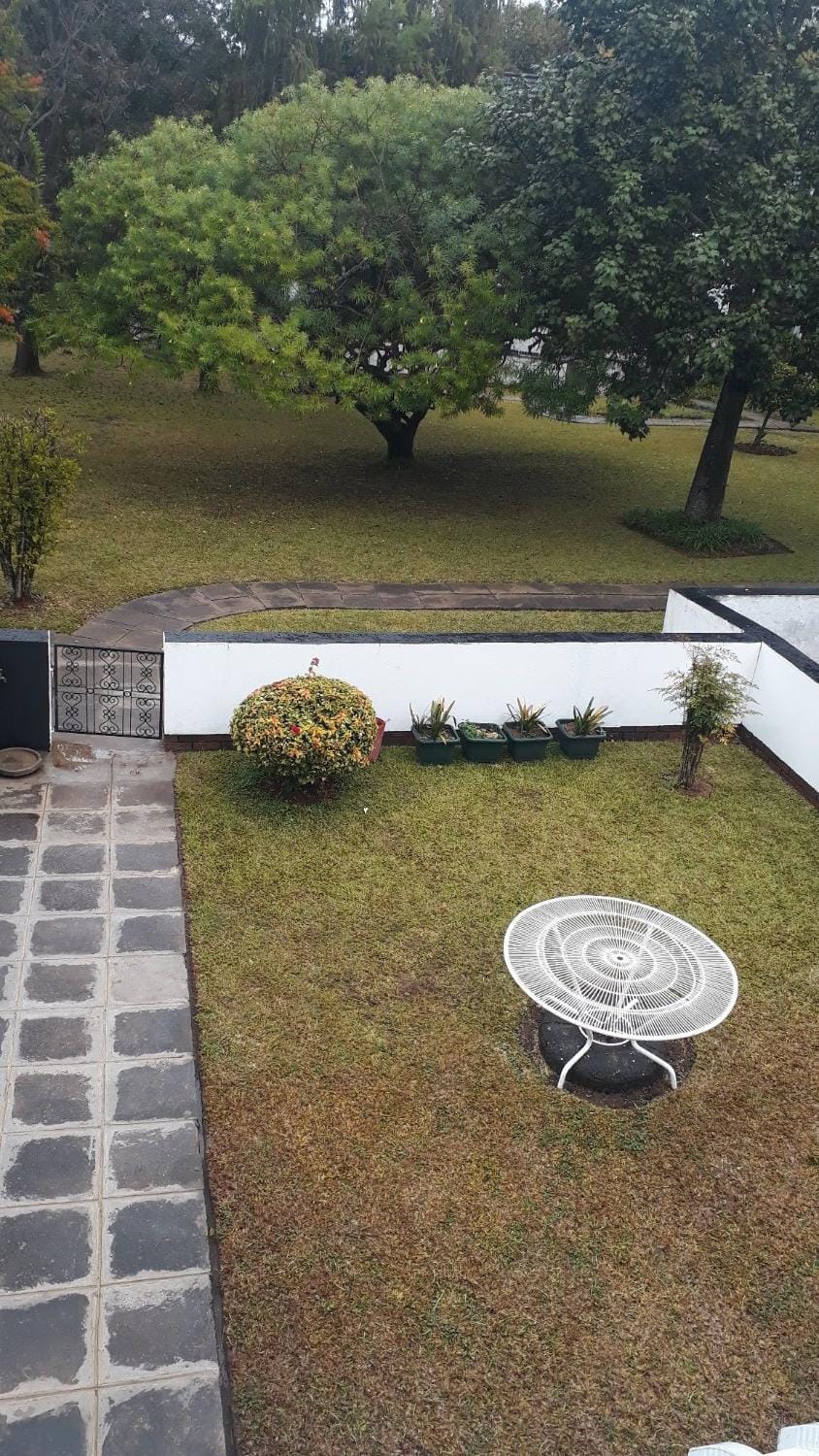 Garden view