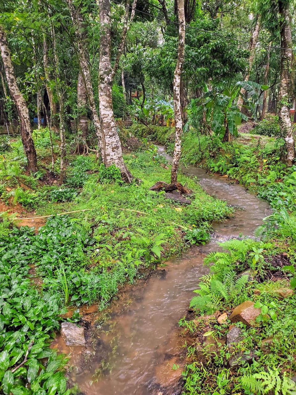 Friendz Homestay Sakleshpur Vacation rental in Karnataka
