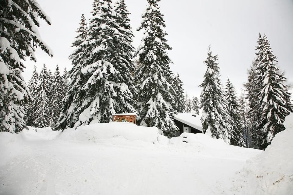 Alpine-Lodges Petra House in Carinthia, Austria