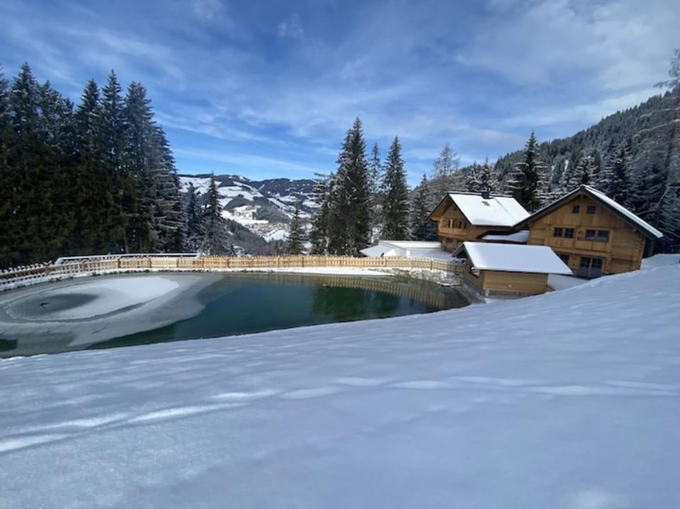Bergseegut Chalets House in Salzburgerland