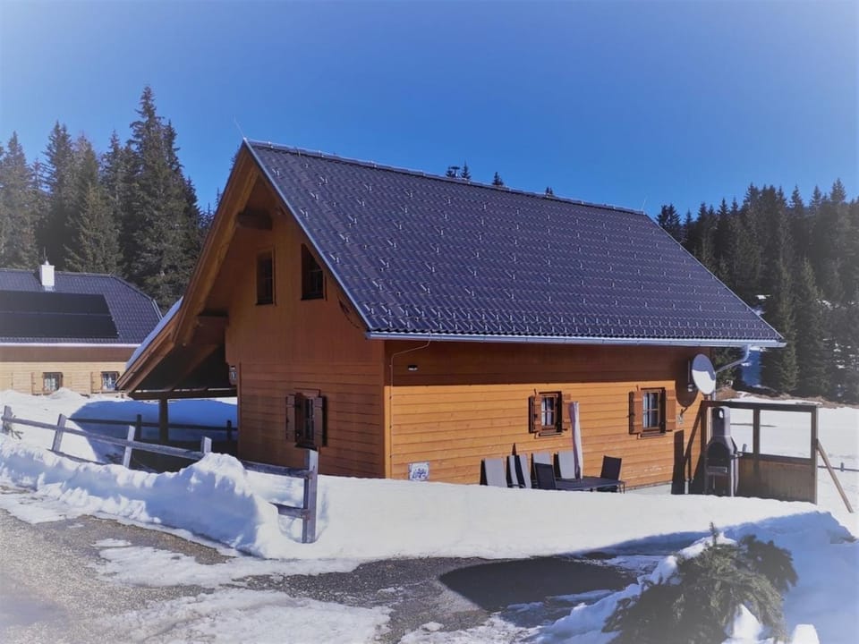 Hüttendorf Flattnitz - Typ B House in Carinthia, Austria