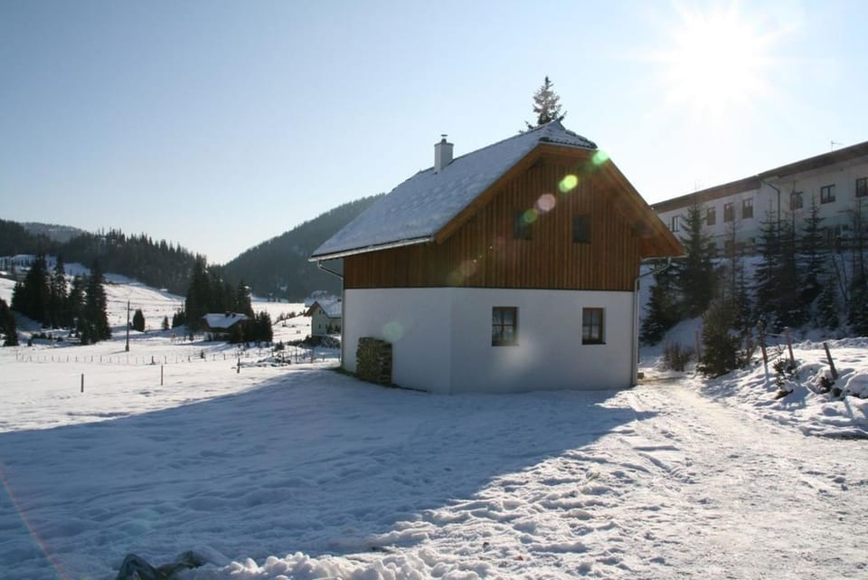 Hüttendorf Flattnitz - Typ C House in Carinthia, Austria