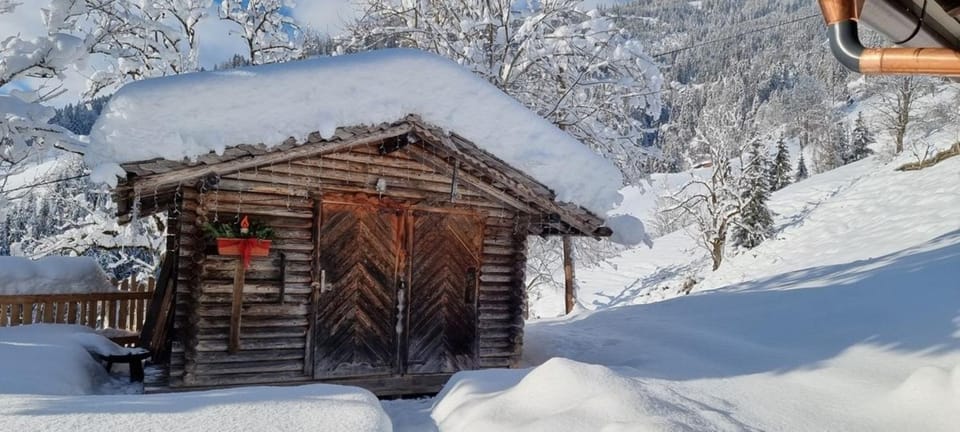 Faschinghütte House in Salzburgerland