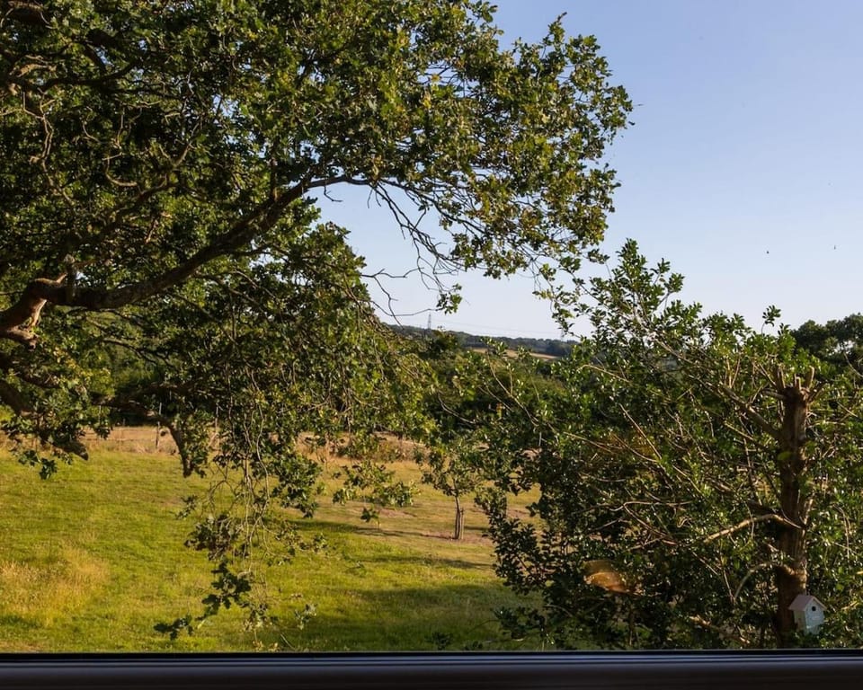 Natural landscape