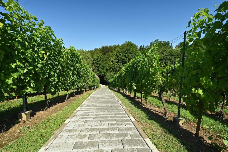 Spring, Natural landscape, Garden